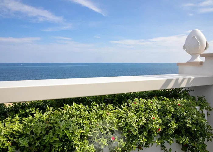 White Sofia - Uno Sguardo Sul Mare Bari